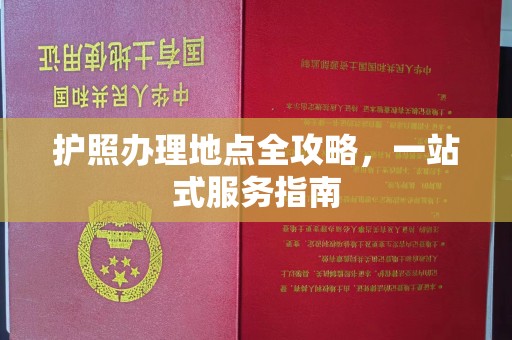 正阳护照办理地点全攻略，一站式服务指南