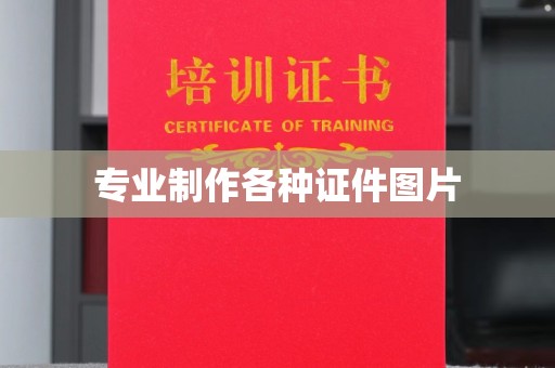 正阳专业制作各种证件图片