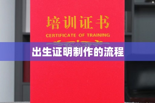 正阳出生证明制作的流程