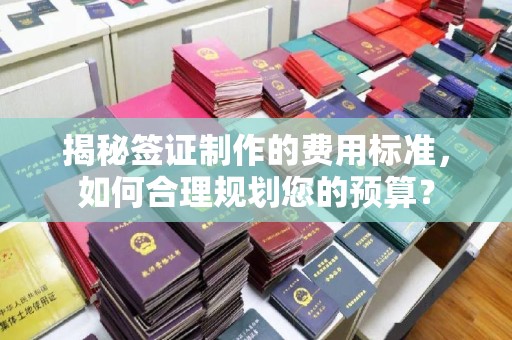 正阳揭秘签证制作的费用标准，如何合理规划您的预算？