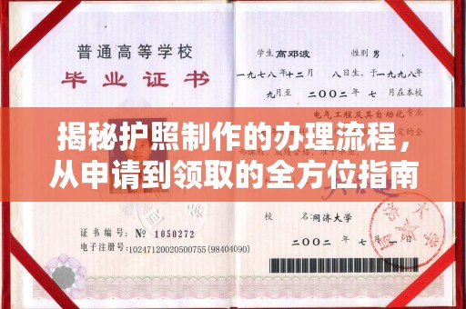 正阳揭秘护照制作的办理流程，从申请到领取的全方位指南