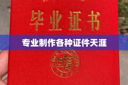 正阳专业制作各种证件天涯