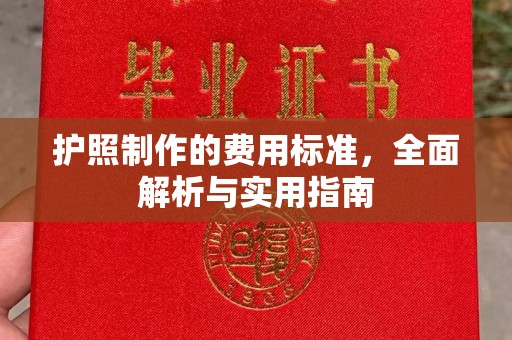正阳护照制作的费用标准，全面解析与实用指南