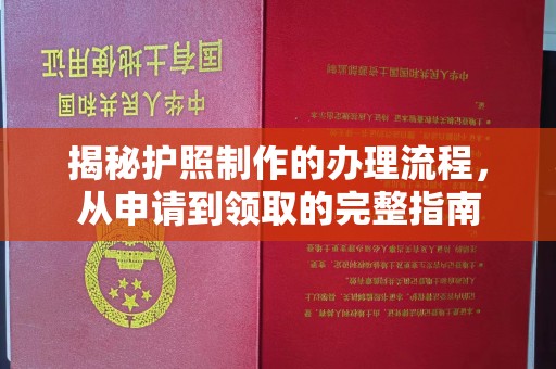 正阳揭秘护照制作的办理流程，从申请到领取的完整指南
