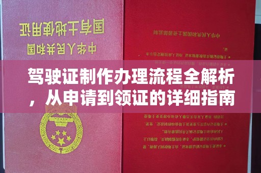 正阳驾驶证制作办理流程全解析，从申请到领证的详细指南