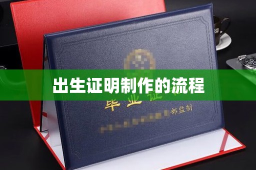 正阳出生证明制作的流程