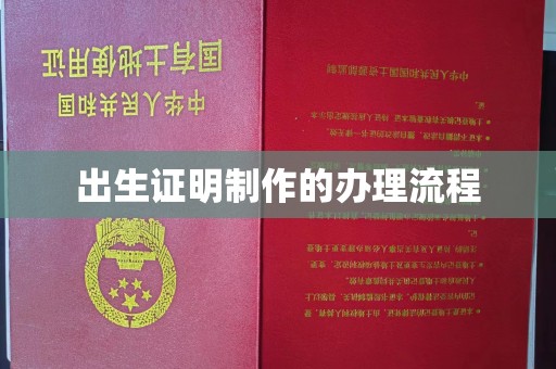 正阳出生证明制作的办理流程